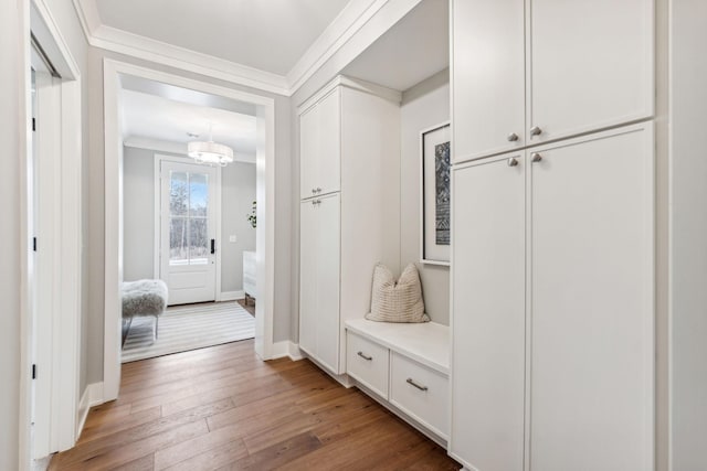 mudroom with ornamental molding and wood-type flooring