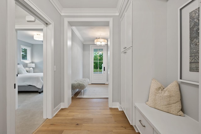 mudroom featuring crown molding, a healthy amount of sunlight, and light hardwood / wood-style flooring