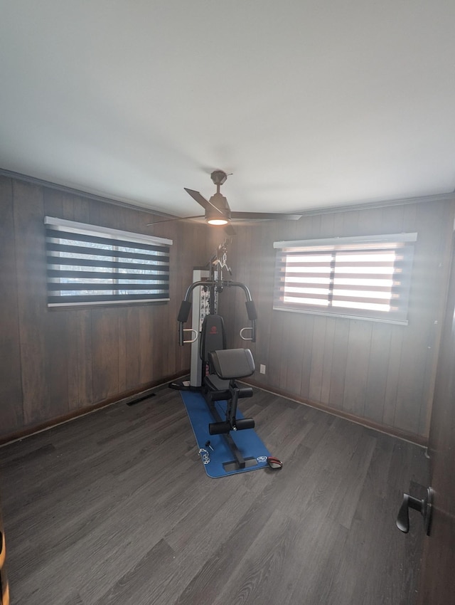 workout room featuring ceiling fan and wood finished floors