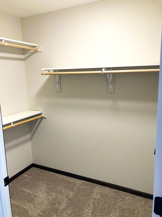 1067 241st Ln NE, East Bethel, MN 55005 - spacious closet featuring carpet floors