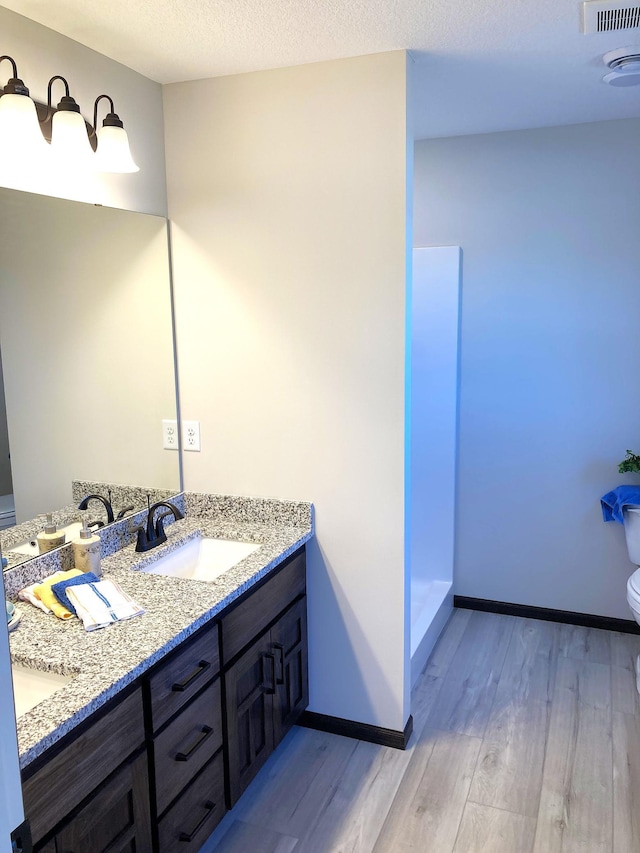 1067 241st Ln NE, East Bethel, MN 55005 - bathroom with wood finished floors, toilet, baseboards, and double vanity