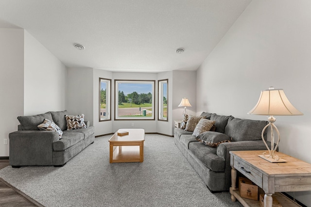 1067 241st Ln NE, East Bethel, MN 55005 - carpeted living room featuring baseboards