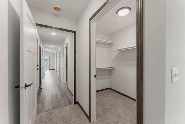1067 241st Ln NE, East Bethel, MN 55005 - hallway with baseboards and light colored carpet