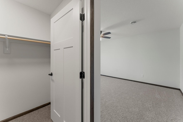 1067 241st Ln NE, East Bethel, MN 55005 - view of closet