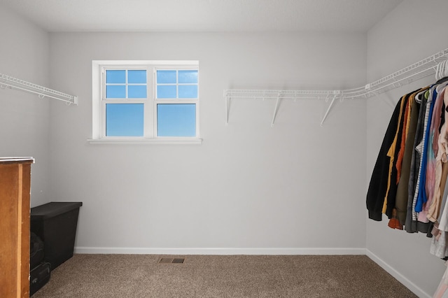 walk in closet with carpet floors