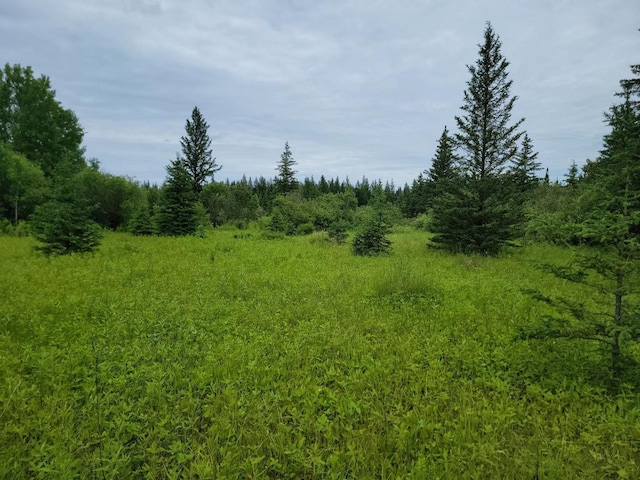 xxx Heino Road, Angora MN, 55703 land for sale