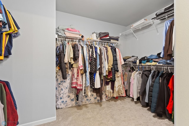 walk in closet featuring carpet