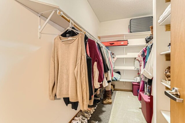 spacious closet featuring carpet