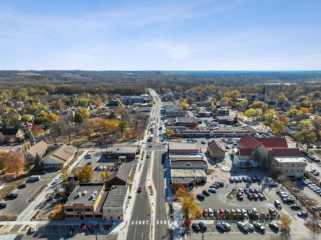 drone / aerial view