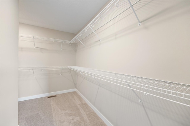 spacious closet with carpet