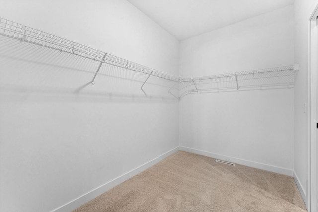 spacious closet featuring carpet floors