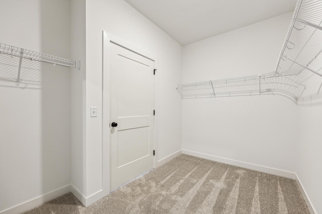 walk in closet with carpet