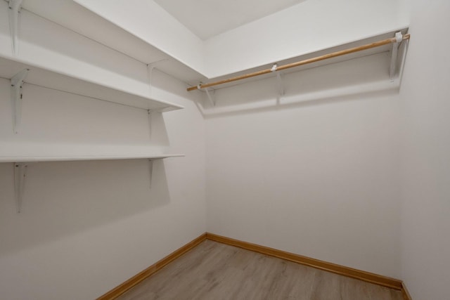 walk in closet featuring light hardwood / wood-style floors