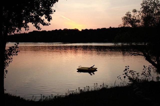 property view of water