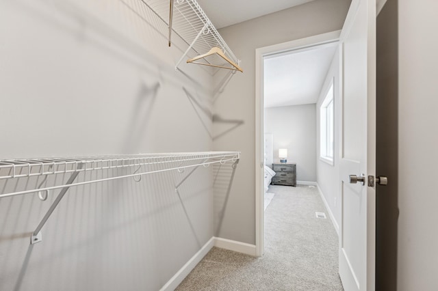 spacious closet with carpet