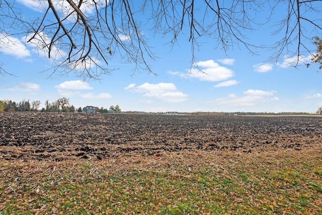 view of local wilderness