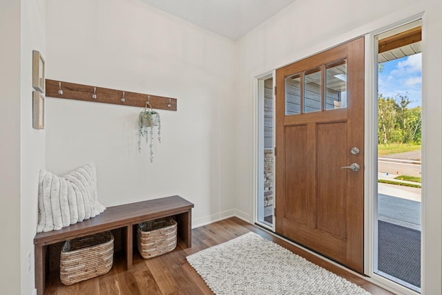 entrance foyer featuring a chandelier and hardwood / wood-style flooring