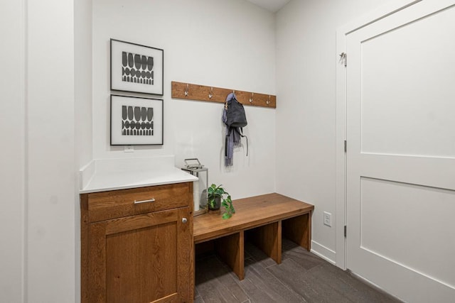 mudroom with dark hardwood / wood-style floors