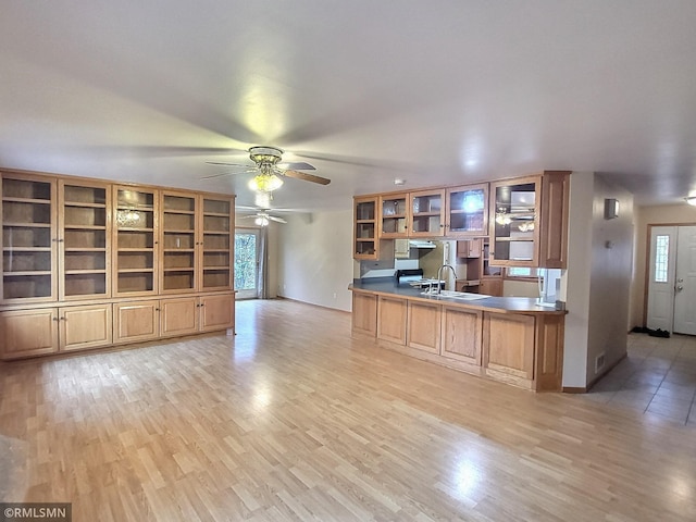 kitchen with ceiling fan, light hardwood / wood-style floors, kitchen peninsula, and sink