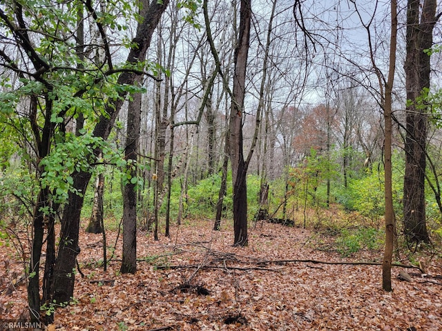 view of landscape