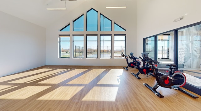 exercise room with light hardwood / wood-style floors and high vaulted ceiling