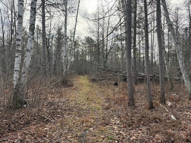 view of local wilderness