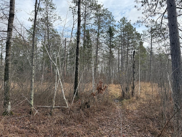 view of local wilderness