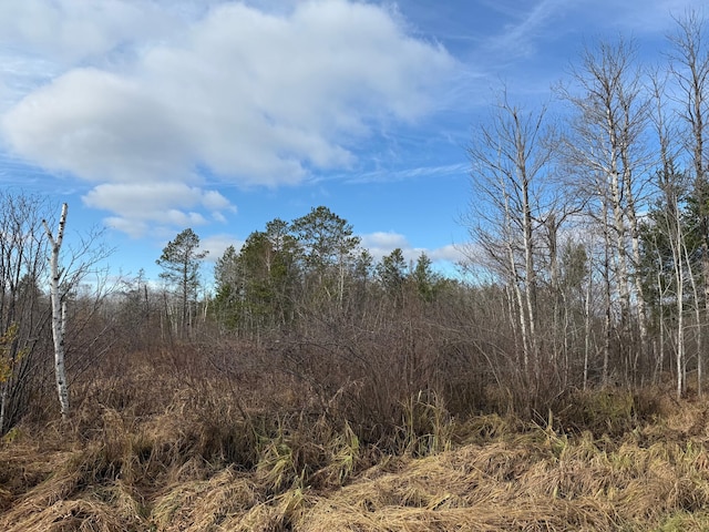 view of local wilderness