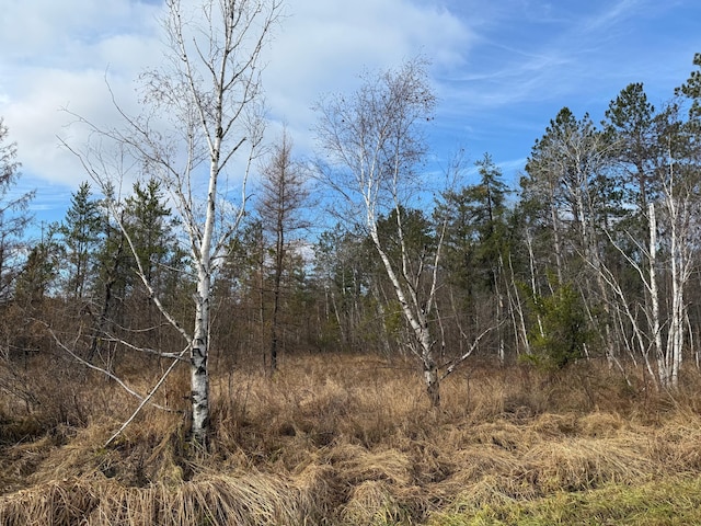 view of local wilderness