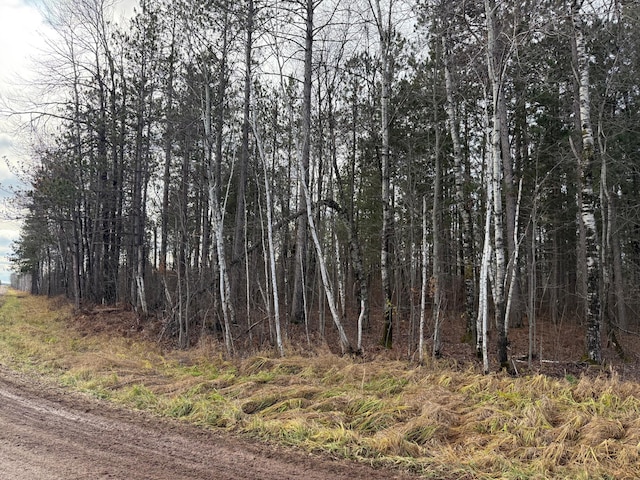 view of local wilderness