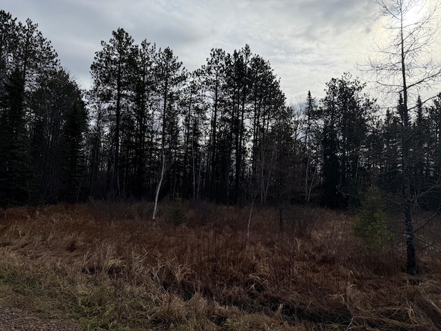 view of local wilderness