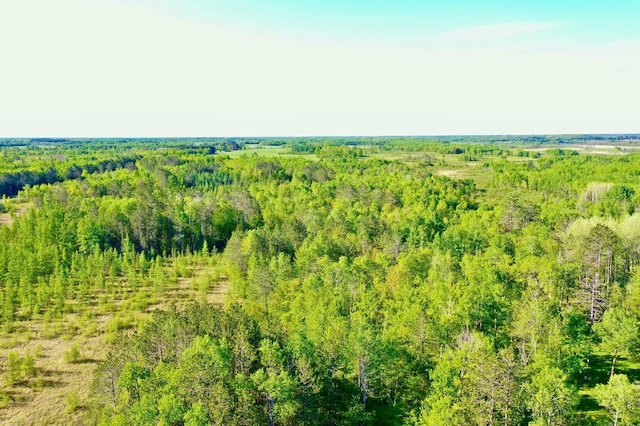 41574 Koland Rd, Sandstone Twp, MN 55072 - drone / aerial view of a heavily wooded area
