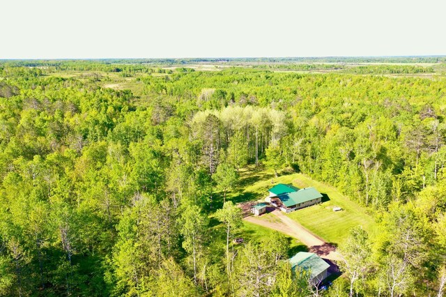 41574 Koland Rd, Sandstone Twp, MN 55072 - drone / aerial view of a forest