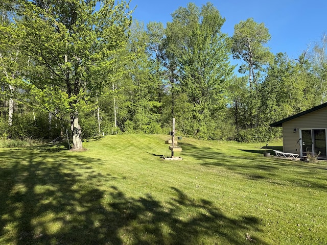 41574 Koland Rd, Sandstone Twp, MN 55072 - view of grassy yard
