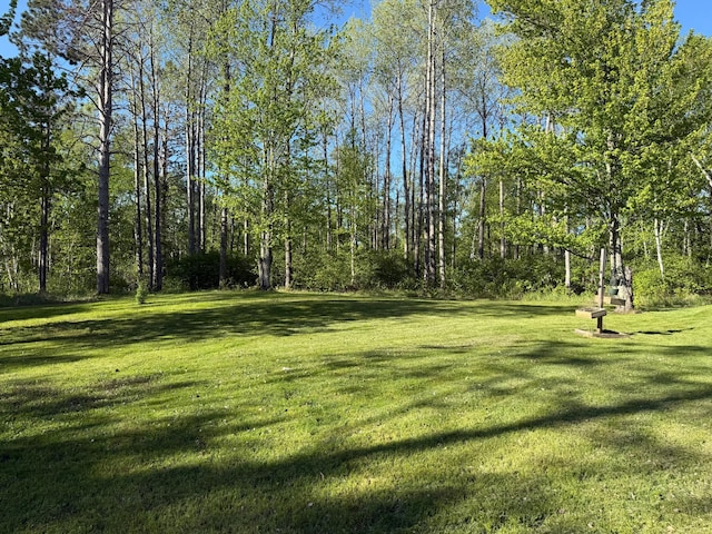 41574 Koland Rd, Sandstone Twp, MN 55072 - view of grassy yard
