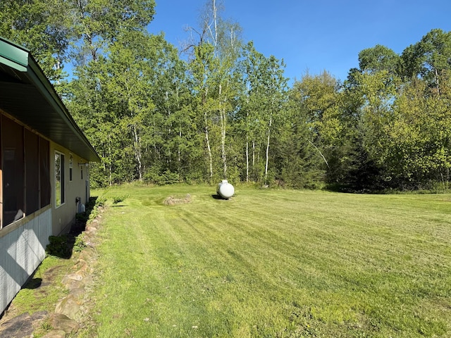 41574 Koland Rd, Sandstone Twp, MN 55072 - view of green lawn