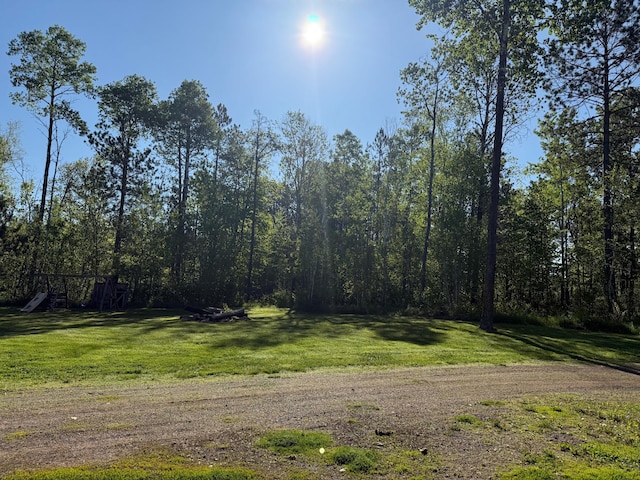 41574 Koland Rd, Sandstone Twp, MN 55072 - view of grassy yard