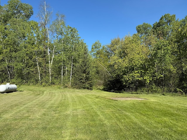 41574 Koland Rd, Sandstone Twp, MN 55072 - view of grassy yard