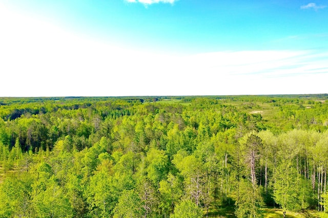 41574 Koland Rd, Sandstone Twp, MN 55072 - view of woods
