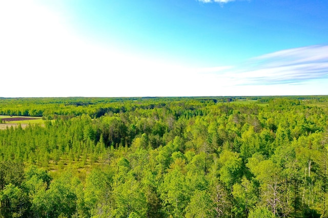 41574 Koland Rd, Sandstone Twp, MN 55072 - aerial view of a heavily wooded area