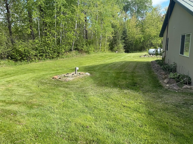 41574 Koland Rd, Sandstone Twp, MN 55072 - view of green lawn