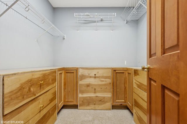 walk in closet with light colored carpet