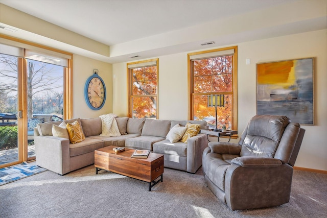 carpeted living room with a healthy amount of sunlight