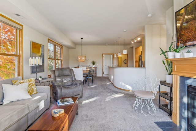 living room featuring carpet floors