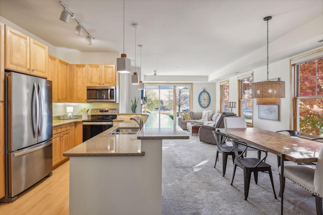 kitchen featuring plenty of natural light, appliances with stainless steel finishes, and hanging light fixtures