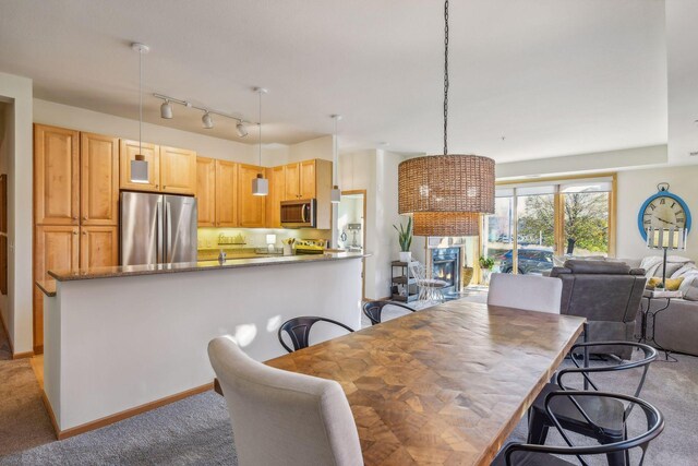 dining area featuring track lighting