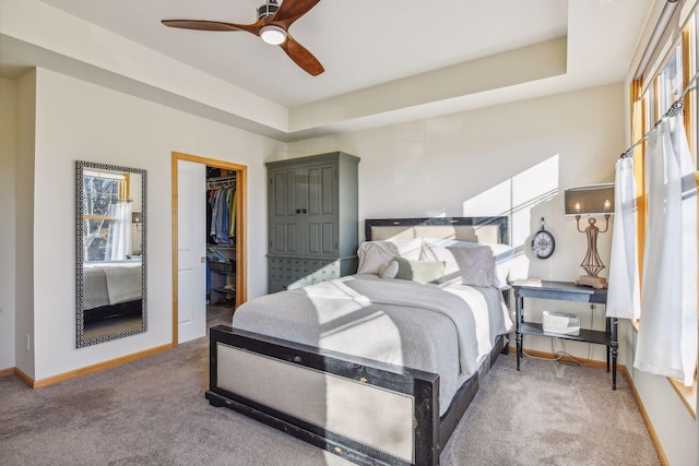 bedroom featuring ceiling fan, a spacious closet, a raised ceiling, a closet, and carpet floors