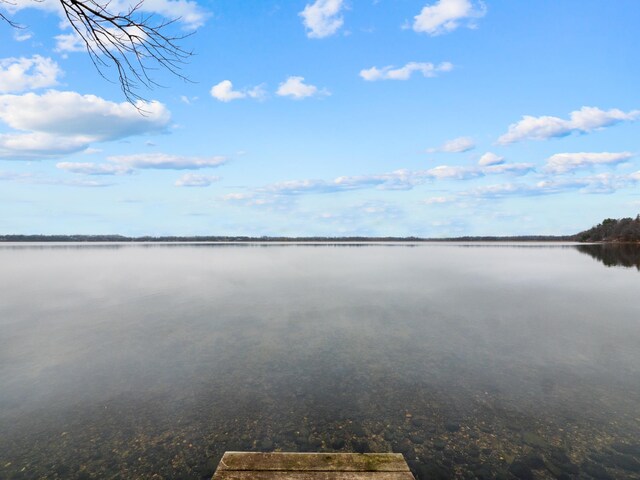 view of water feature