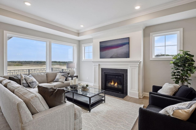 living room featuring ornamental molding, light hardwood / wood-style flooring, and a healthy amount of sunlight