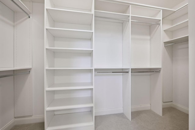 spacious closet with carpet floors